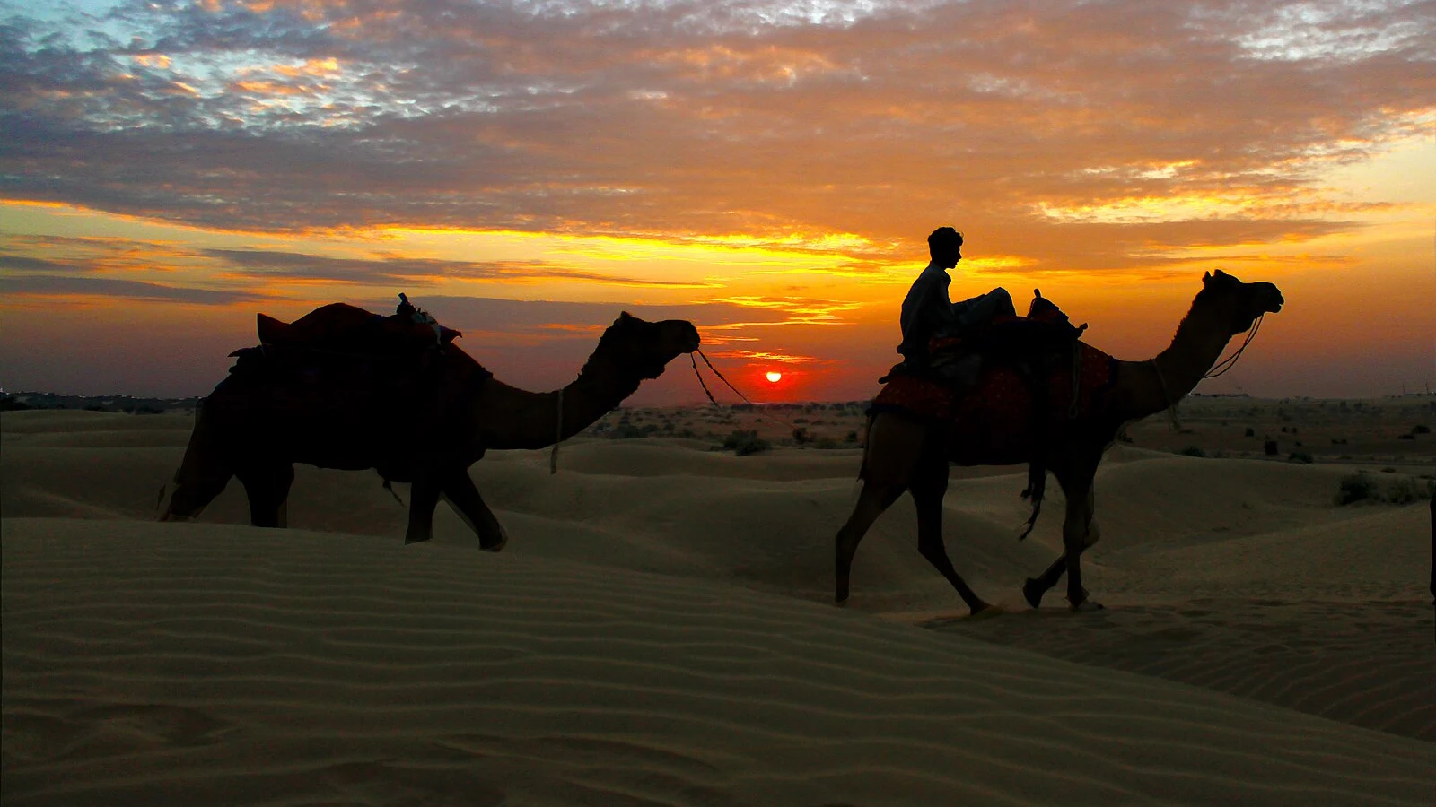 Discover Rajasthan’s Stunning Trail: Jaipur to Jaisalmer 30 Sam_sand_dunes