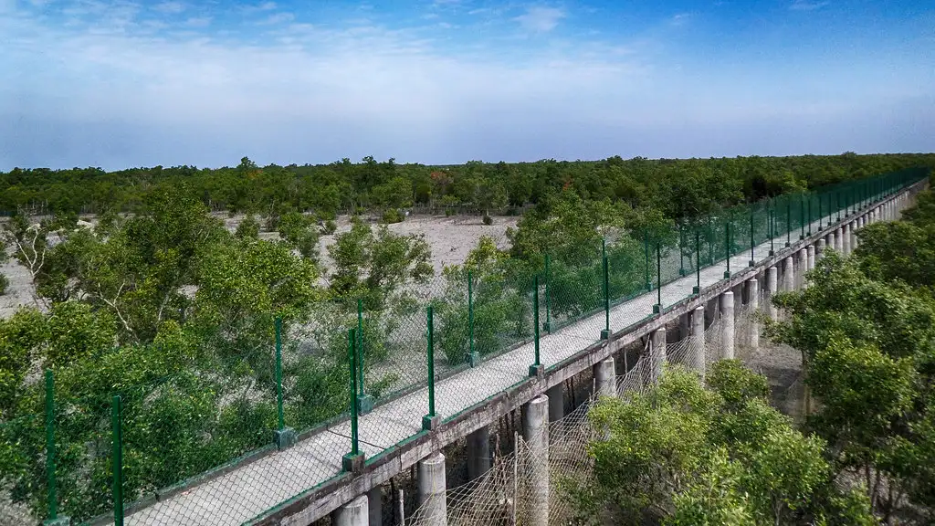 Essential Sundarbans Tour Guide: Tigers, Mangroves & Rivers 16 Dobanki Watchtower and Canopy