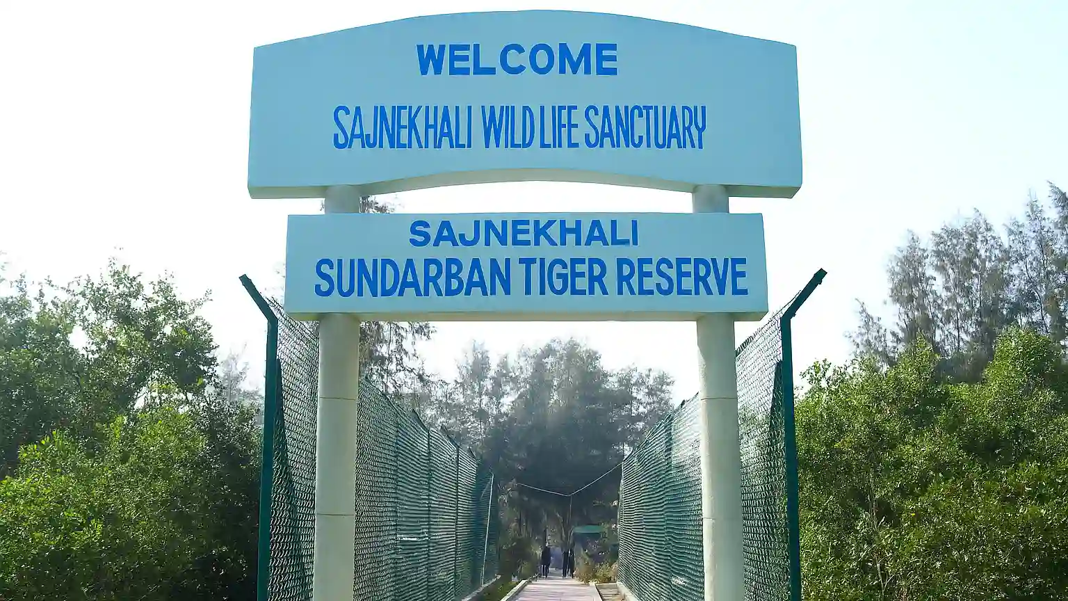 Essential Sundarbans Tour Guide: Tigers, Mangroves & Rivers 14 Sajnekhali Sundarban
