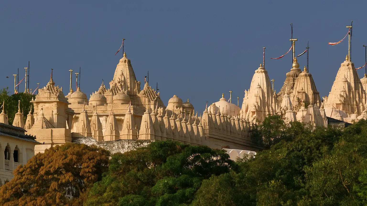 10 Must-Visit Mystical Temples in Gujarat 17 shatrunjaya-hill-temple
