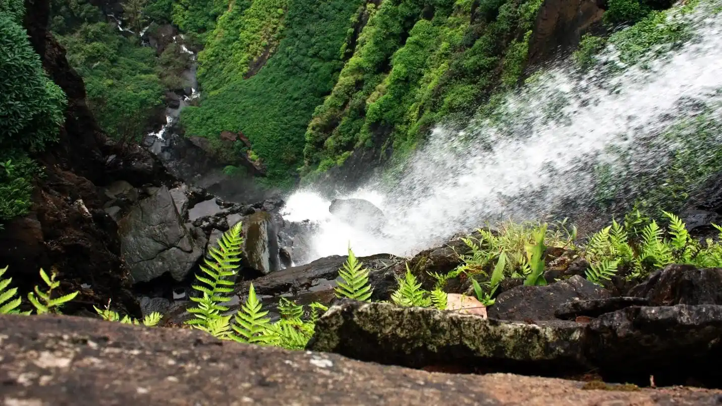 10 Best Places to Visit in Monsoon in India 21 Agumbe, Karnataka