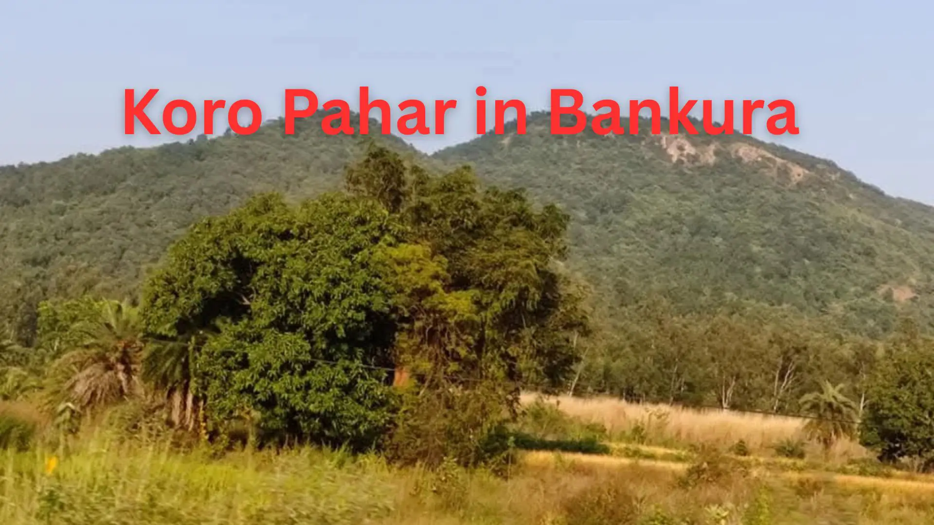 Home 29 Koro Pahar in Bankura