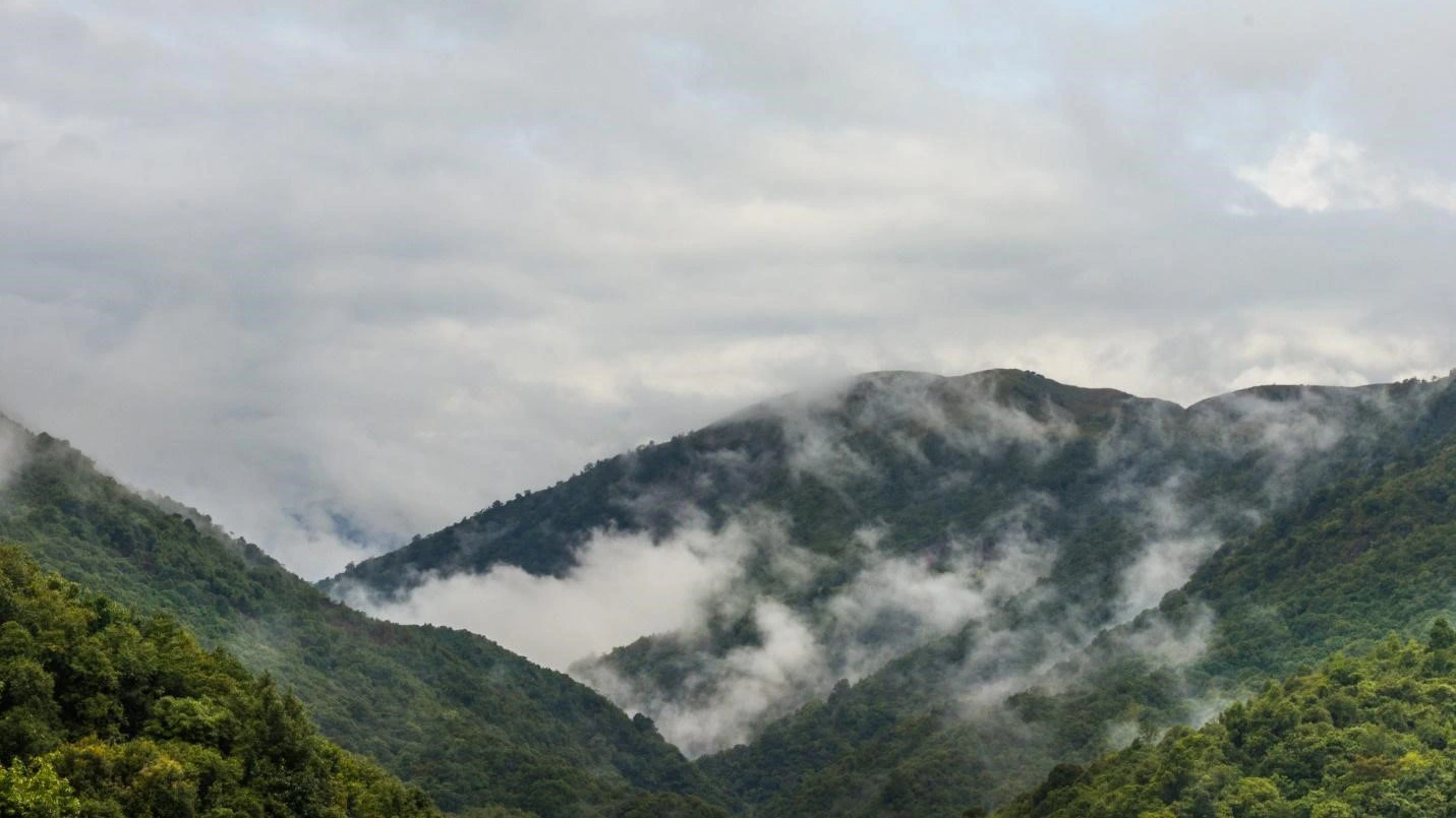 10 Best Places to Visit in Monsoon in India 22 Shillong, Meghalaya