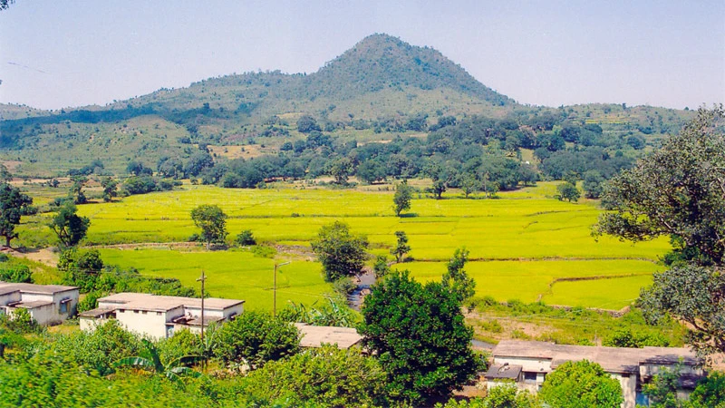 Unveil Vizag Tourist Places: Stunning Beaches & Vibrant Culture 8 Araku Valley