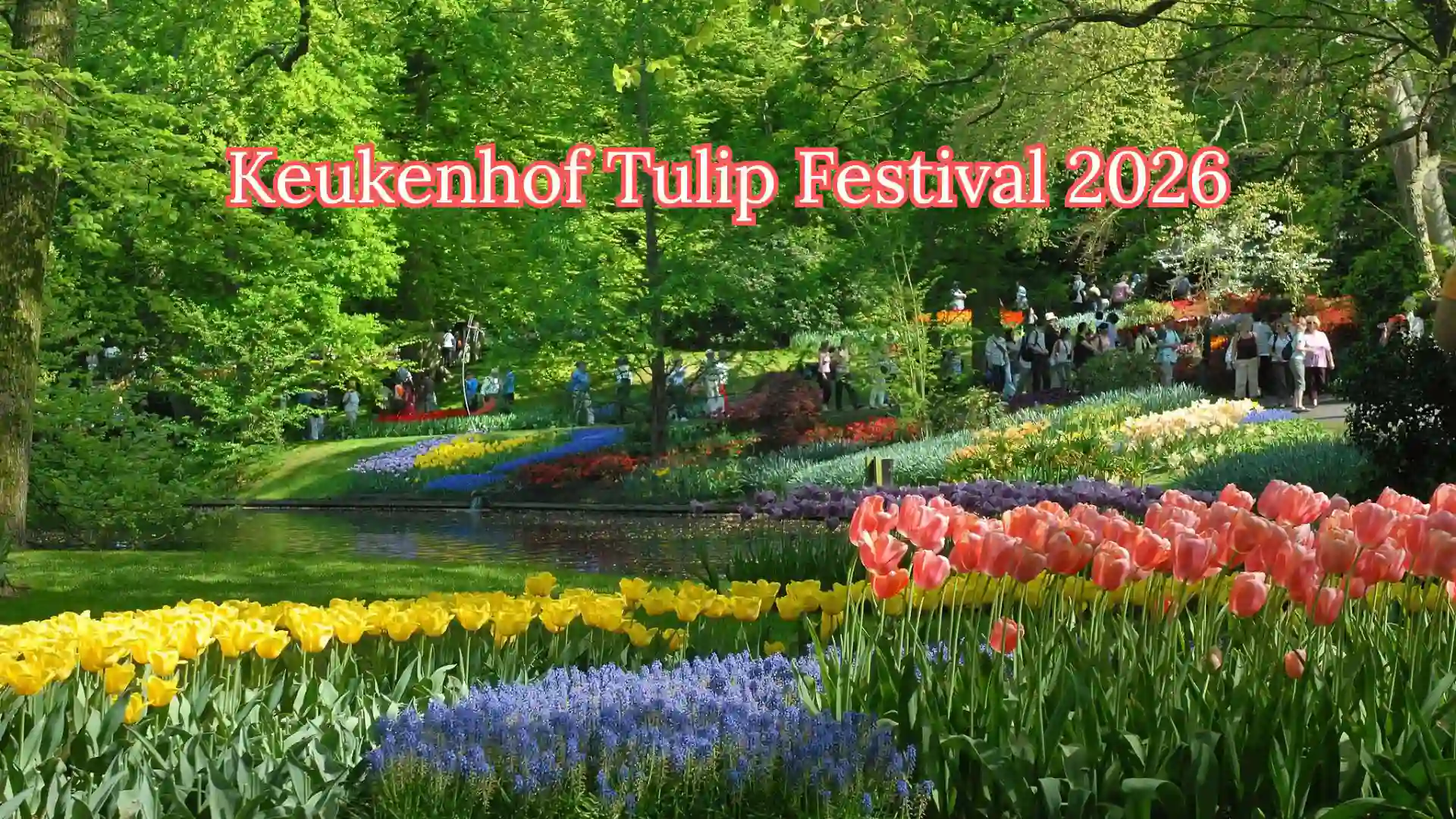 Home 8 Keukenhof Tulip Festival 2026